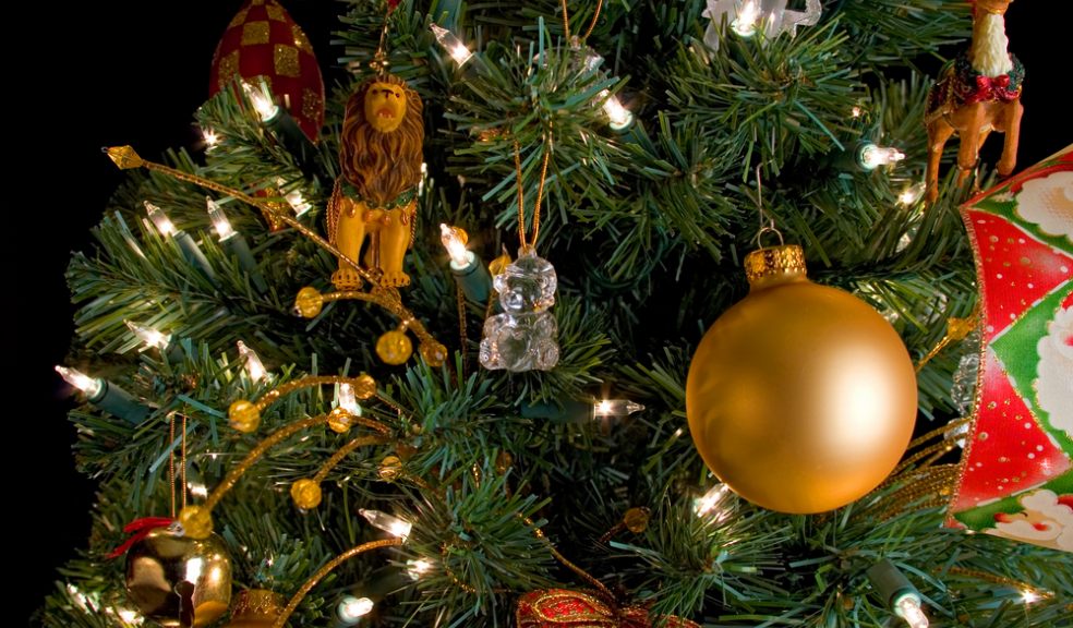 Crediton Christmas Tree Festival The Exeter Daily